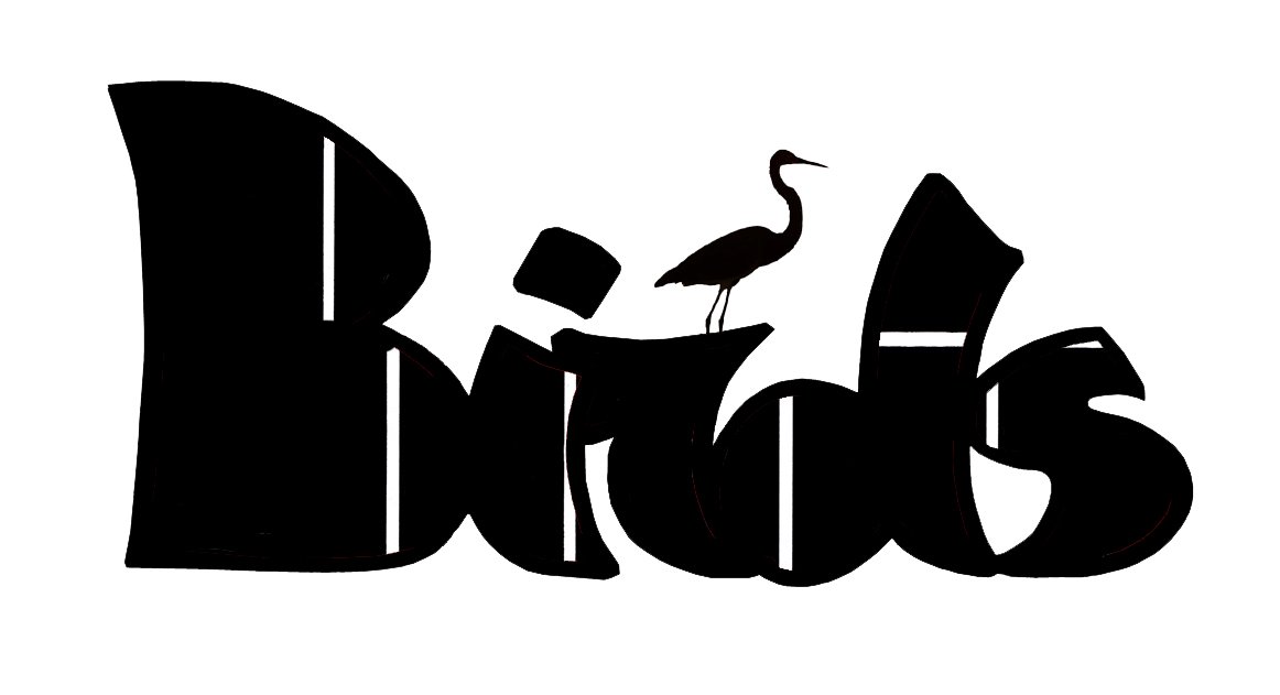 Birds #96, “Day(NO)light” feat. Dor Bid