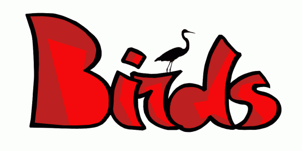 Το BIRDS Επιστρέφει!
