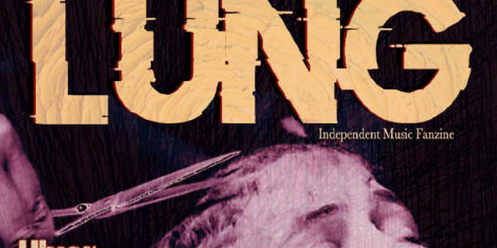 lung magazine